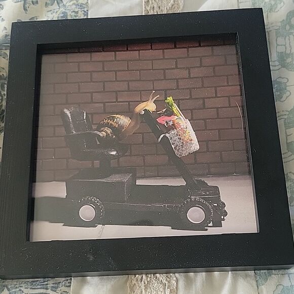 Set 2 Snail photographs works of art, Poltergeist and grandma's cart - Picture 3 of 5